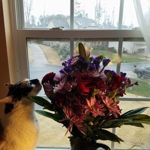 Meet your Posher, Leah